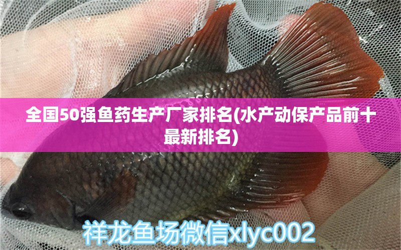 全國50強(qiáng)魚藥生產(chǎn)廠家排名(水產(chǎn)動保產(chǎn)品前十最新排名) 白子球鯊魚