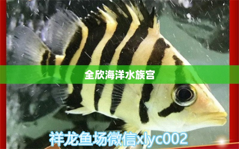 全欣海洋水族宮