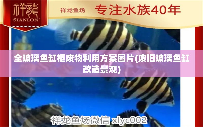 全玻璃魚缸柜廢物利用方案圖片(廢舊玻璃魚缸改造景觀) 魚缸凈水劑