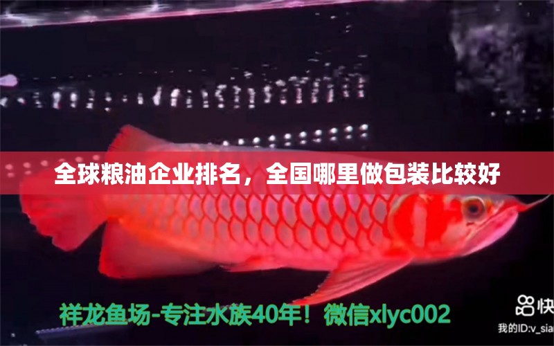 全球糧油企業(yè)排名，全國哪里做包裝比較好 養(yǎng)魚的好處 第1張