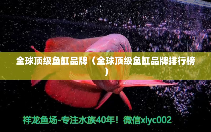 全球頂級魚缸品牌（全球頂級魚缸品牌排行榜）