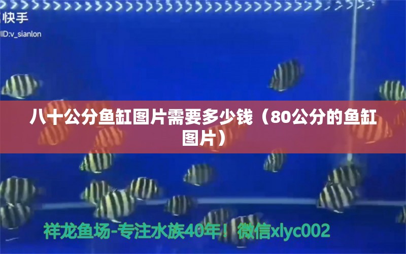 八十公分魚缸圖片需要多少錢（80公分的魚缸圖片） 其他品牌魚缸