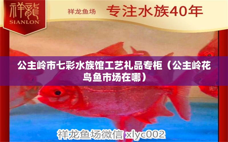 公主嶺市七彩水族館工藝禮品專(zhuān)柜（公主嶺花鳥(niǎo)魚(yú)市場(chǎng)在哪）