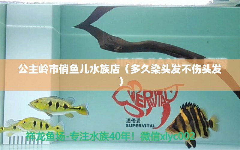 公主嶺市俏魚兒水族店（多久染頭發(fā)不傷頭發(fā)）