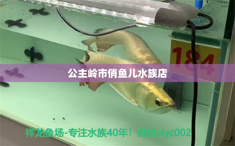 公主嶺市俏魚兒水族店