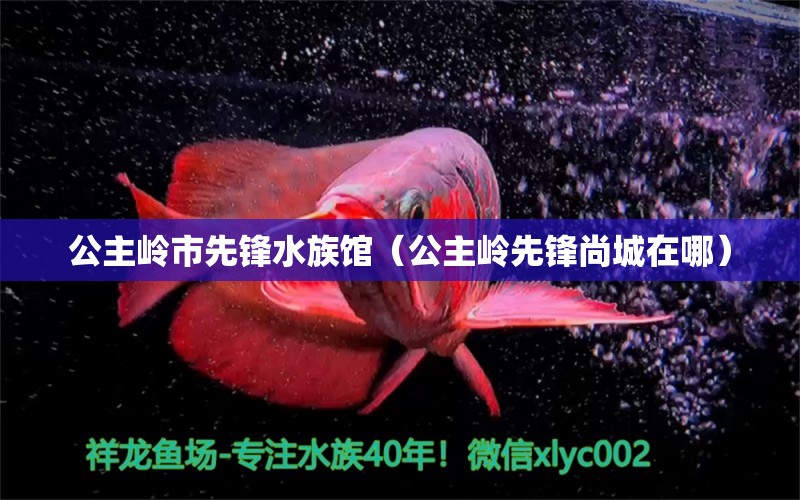 公主嶺市先鋒水族館（公主嶺先鋒尚城在哪） 全國水族館企業(yè)名錄