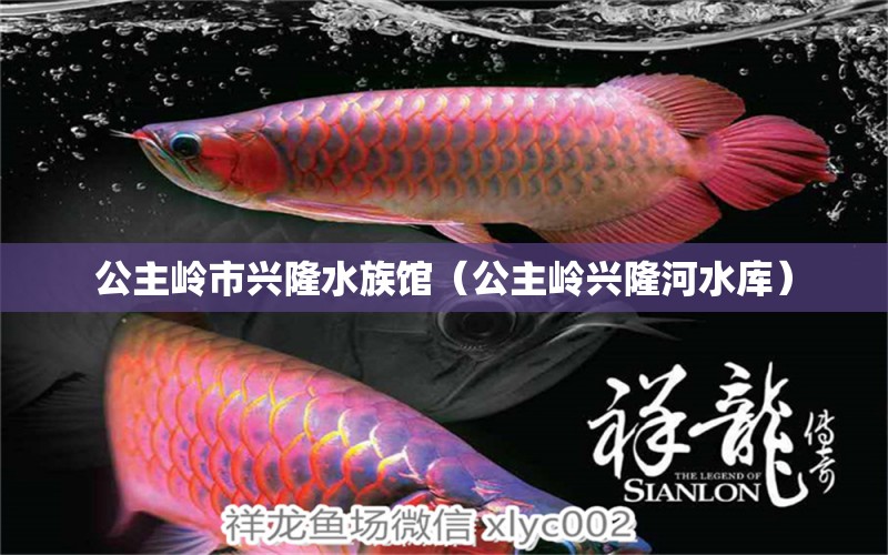 公主嶺市興隆水族館（公主嶺興隆河水庫(kù)）