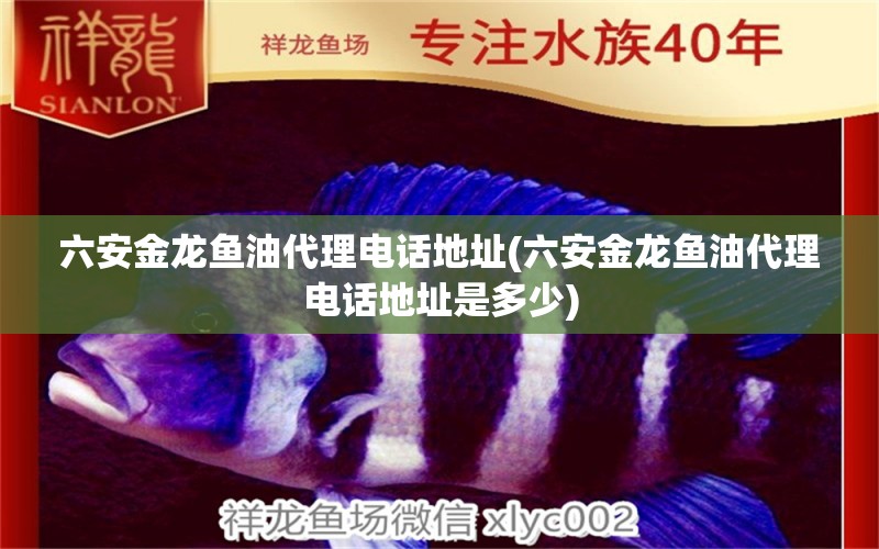 六安金龍魚(yú)油代理電話地址(六安金龍魚(yú)油代理電話地址是多少) 其它水族用具設(shè)備