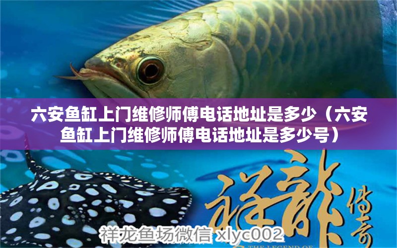 六安魚缸上門維修師傅電話地址是多少（六安魚缸上門維修師傅電話地址是多少號）