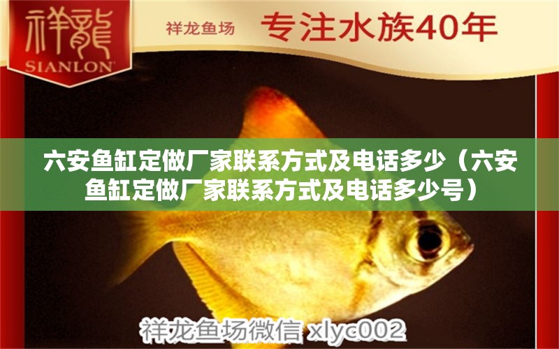 六安魚缸定做廠家聯(lián)系方式及電話多少（六安魚缸定做廠家聯(lián)系方式及電話多少號(hào)）