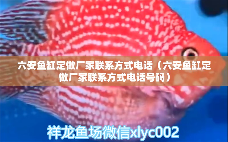 六安魚缸定做廠家聯(lián)系方式電話（六安魚缸定做廠家聯(lián)系方式電話號碼）