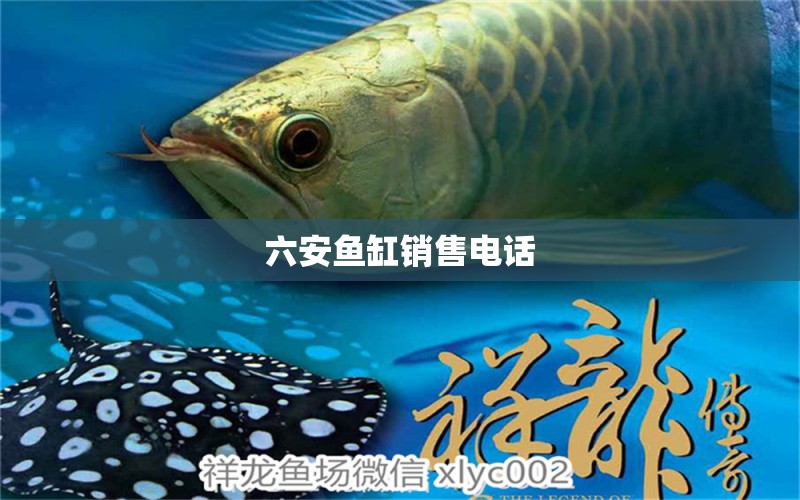 六安魚缸銷售電話 其他品牌魚缸