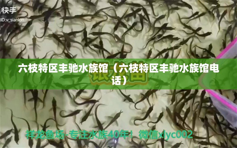 六枝特區(qū)豐馳水族館（六枝特區(qū)豐馳水族館電話）