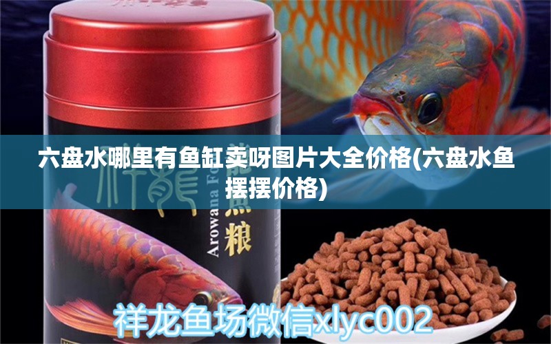 六盤水哪里有魚缸賣呀圖片大全價格(六盤水魚擺擺價格) 朱巴利魚