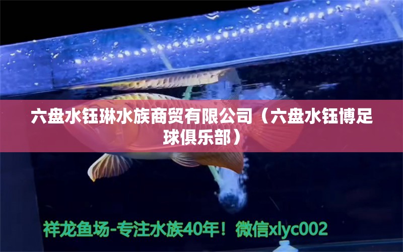 六盤水鈺琳水族商貿(mào)有限公司（六盤水鈺博足球俱樂部） 全國水族館企業(yè)名錄