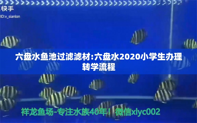 六盤水魚池過濾濾材:六盤水2020小學(xué)生辦理轉(zhuǎn)學(xué)流程