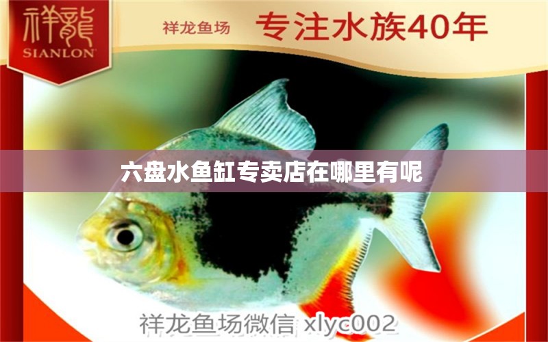 六盤水魚缸專賣店在哪里有呢  孵化器