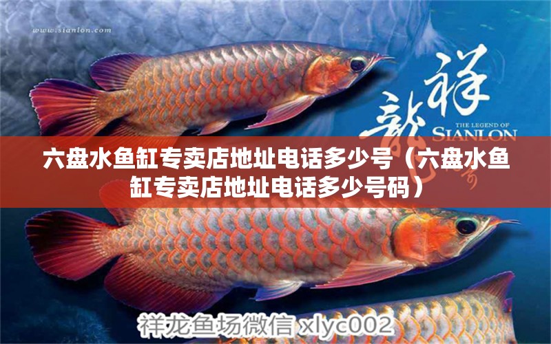 六盤水魚缸專賣店地址電話多少號（六盤水魚缸專賣店地址電話多少號碼）