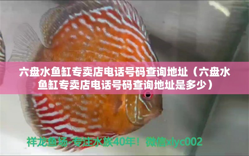 六盤水魚缸專賣店電話號碼查詢地址（六盤水魚缸專賣店電話號碼查詢地址是多少）