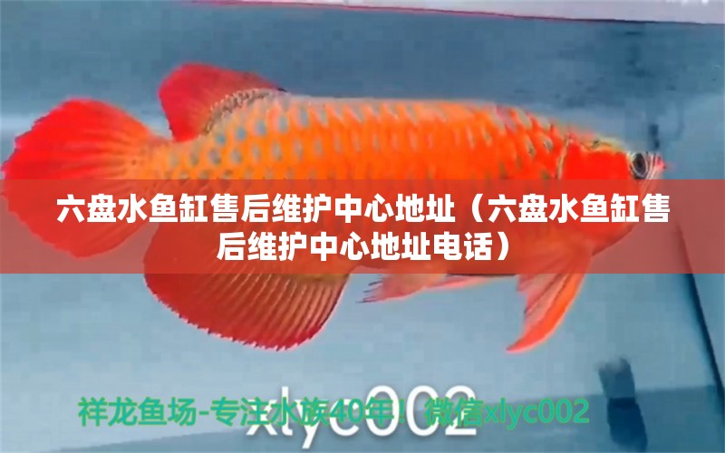 六盤水魚缸售后維護(hù)中心地址（六盤水魚缸售后維護(hù)中心地址電話）