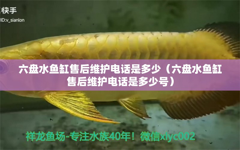 六盤水魚缸售后維護(hù)電話是多少（六盤水魚缸售后維護(hù)電話是多少號）