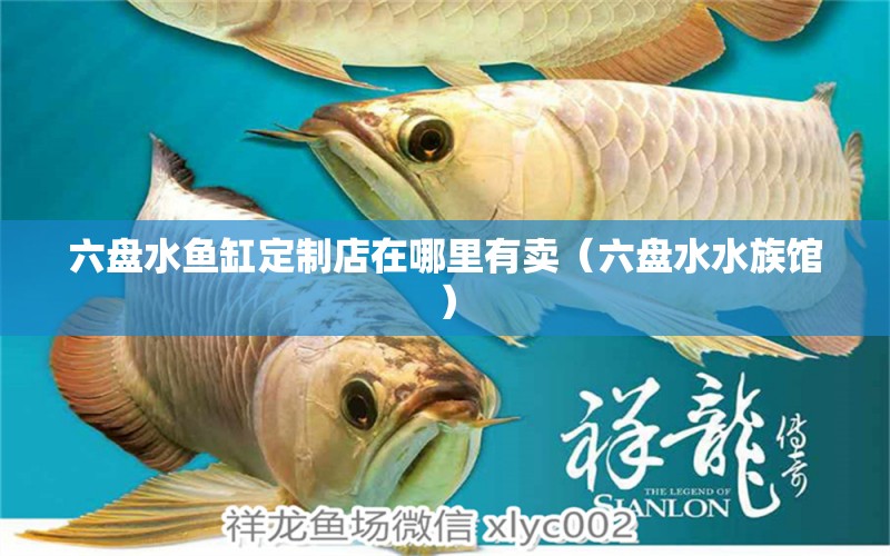 六盤水魚缸定制店在哪里有賣（六盤水水族館）