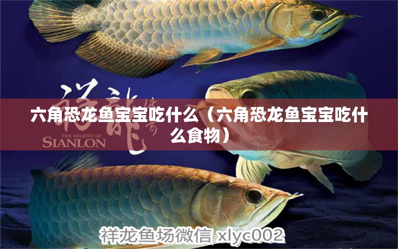 六角恐龍魚(yú)寶寶吃什么（六角恐龍魚(yú)寶寶吃什么食物）