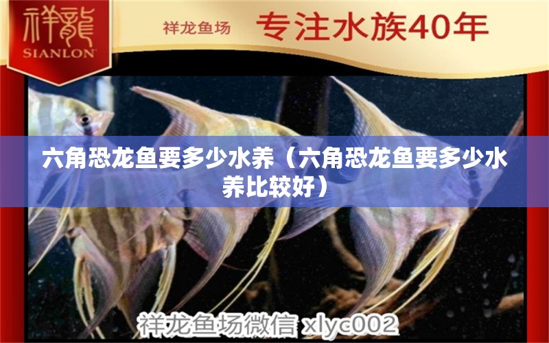 六角恐龍魚要多少水養(yǎng)（六角恐龍魚要多少水養(yǎng)比較好）