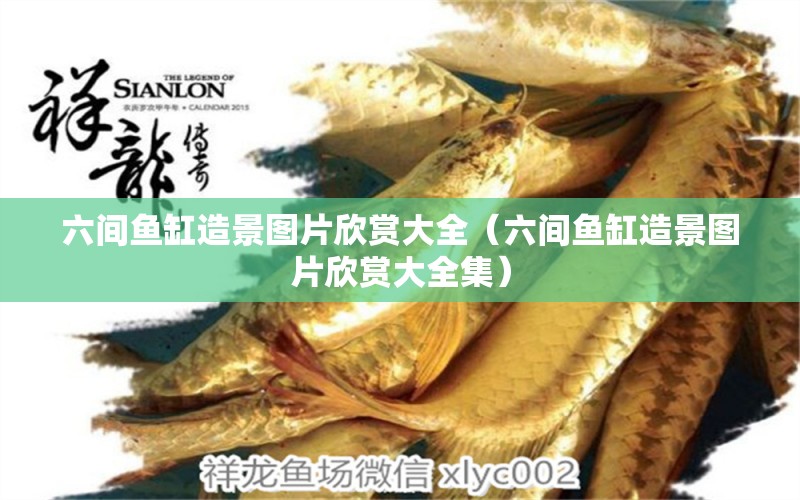 六間魚(yú)缸造景圖片欣賞大全（六間魚(yú)缸造景圖片欣賞大全集）