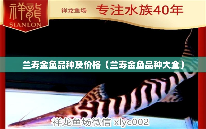 蘭壽金魚品種及價(jià)格（蘭壽金魚品種大全） 觀賞魚飼料 第1張