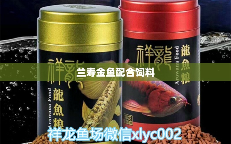 蘭壽金魚配合飼料 廣州水族器材濾材批發(fā)市場