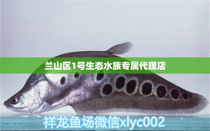 蘭山區(qū)1號生態(tài)水族專屬代理店 全國水族館企業(yè)名錄