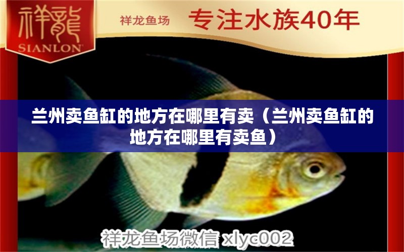 蘭州賣魚缸的地方在哪里有賣（蘭州賣魚缸的地方在哪里有賣魚） 球鯊魚