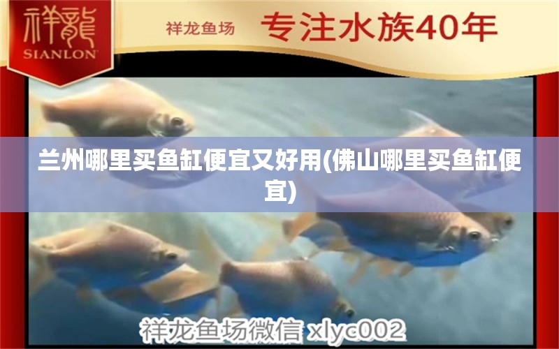 蘭州哪里買魚(yú)缸便宜又好用(佛山哪里買魚(yú)缸便宜) 過(guò)濾設(shè)備