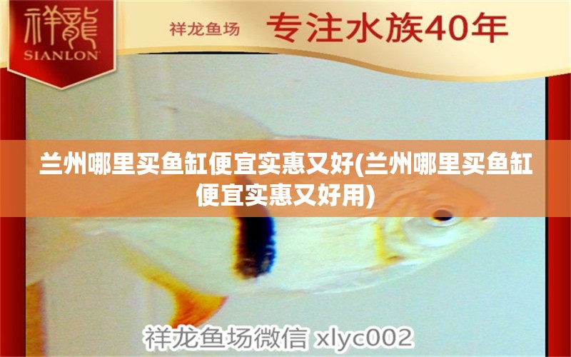 蘭州哪里買魚缸便宜實惠又好(蘭州哪里買魚缸便宜實惠又好用)