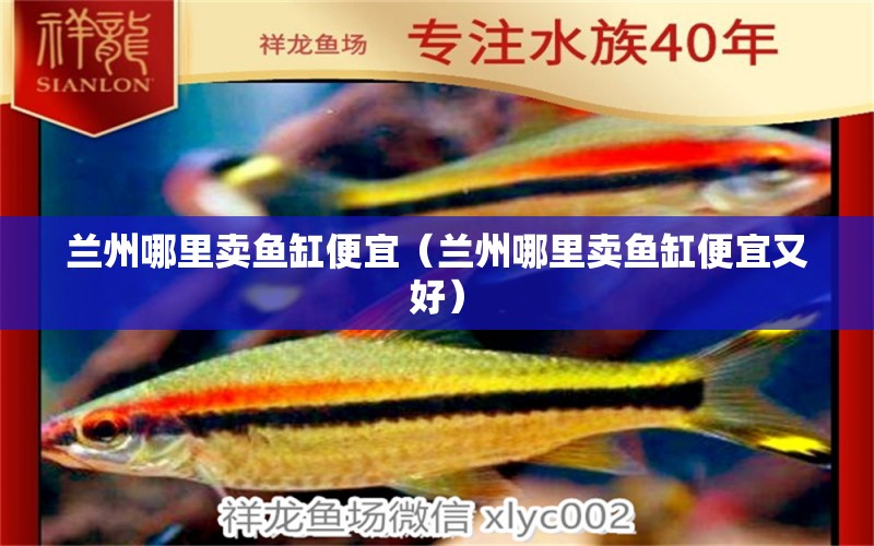 蘭州哪里賣魚缸便宜（蘭州哪里賣魚缸便宜又好） 其他品牌魚缸