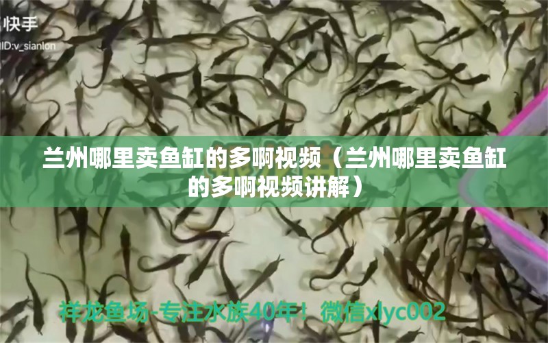 蘭州哪里賣魚缸的多啊視頻（蘭州哪里賣魚缸的多啊視頻講解）