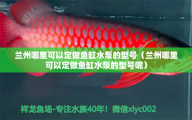 蘭州哪里可以定做魚缸水泵的型號（蘭州哪里可以定做魚缸水泵的型號呢） 魚缸水泵