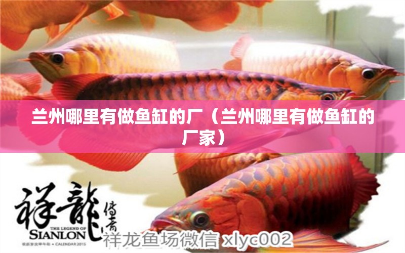 蘭州哪里有做魚缸的廠（蘭州哪里有做魚缸的廠家） 祥龍魚場