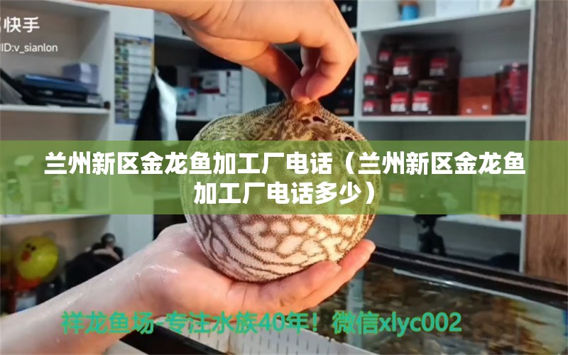 蘭州新區(qū)金龍魚加工廠電話（蘭州新區(qū)金龍魚加工廠電話多少） 恐龍王魚