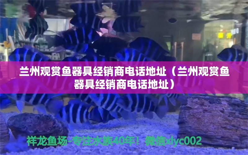 蘭州觀賞魚器具經(jīng)銷商電話地址（蘭州觀賞魚器具經(jīng)銷商電話地址） 過背金龍魚