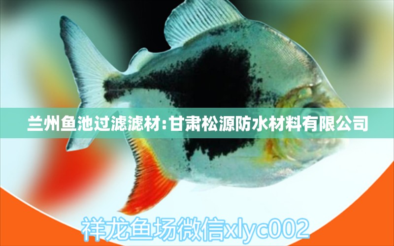 蘭州魚池過濾濾材:甘肅松源防水材料有限公司 廣州水族器材濾材批發(fā)市場