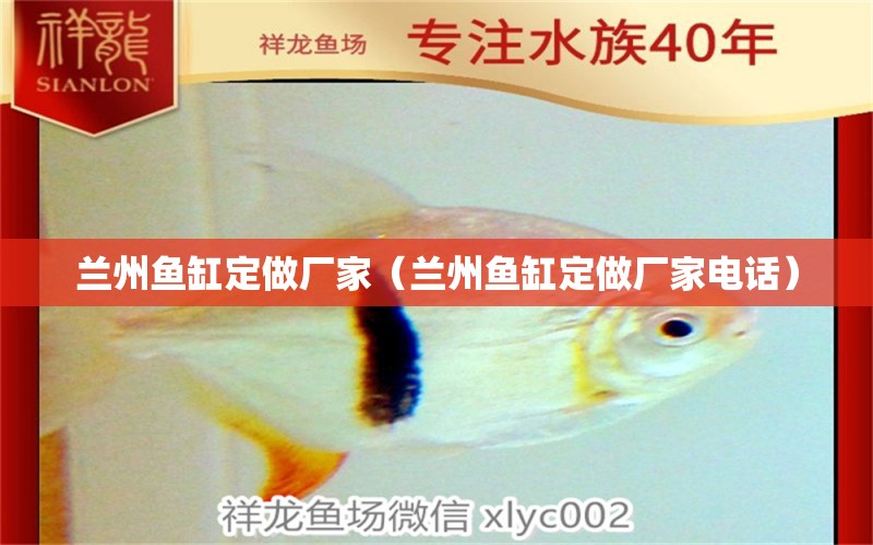 蘭州魚缸定做廠家（蘭州魚缸定做廠家電話） 其他品牌魚缸