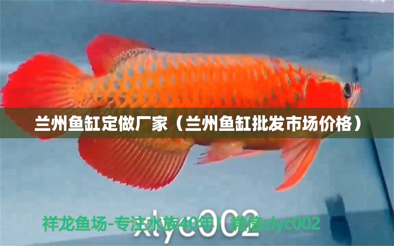 蘭州魚缸定做廠家（蘭州魚缸批發(fā)市場價格） 觀賞魚批發(fā)