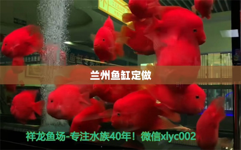 蘭州魚(yú)缸定做