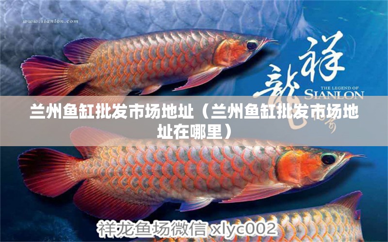 蘭州魚缸批發(fā)市場地址（蘭州魚缸批發(fā)市場地址在哪里） 其他品牌魚缸