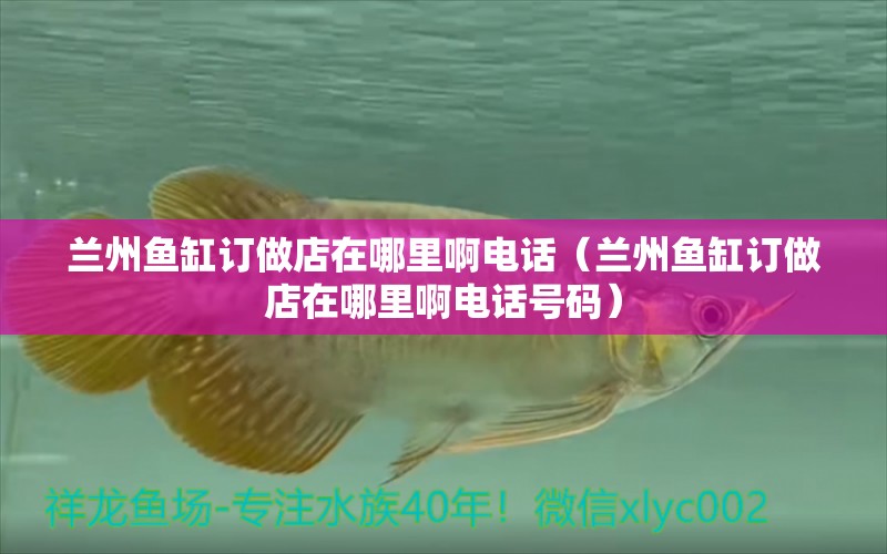 蘭州魚缸訂做店在哪里啊電話（蘭州魚缸訂做店在哪里啊電話號碼） 祥龍水族醫(yī)院