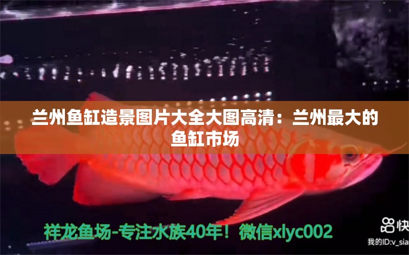 蘭州魚缸造景圖片大全大圖高清：蘭州最大的魚缸市場(chǎng)