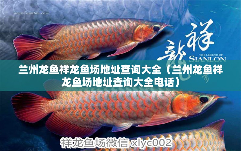 蘭州龍魚祥龍魚場地址查詢大全（蘭州龍魚祥龍魚場地址查詢大全電話）