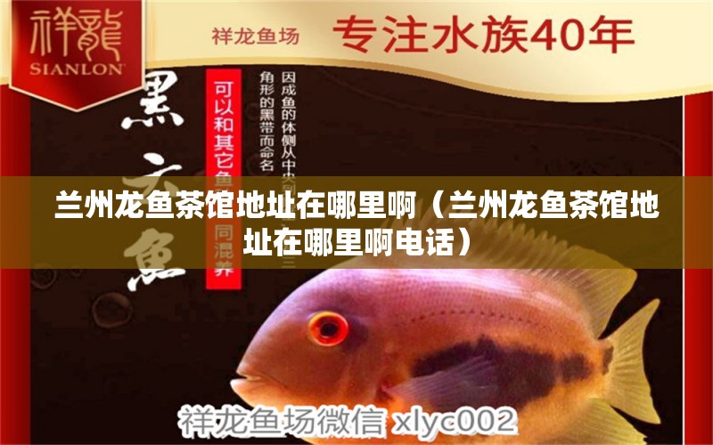 蘭州龍魚茶館地址在哪里?。ㄌm州龍魚茶館地址在哪里啊電話）